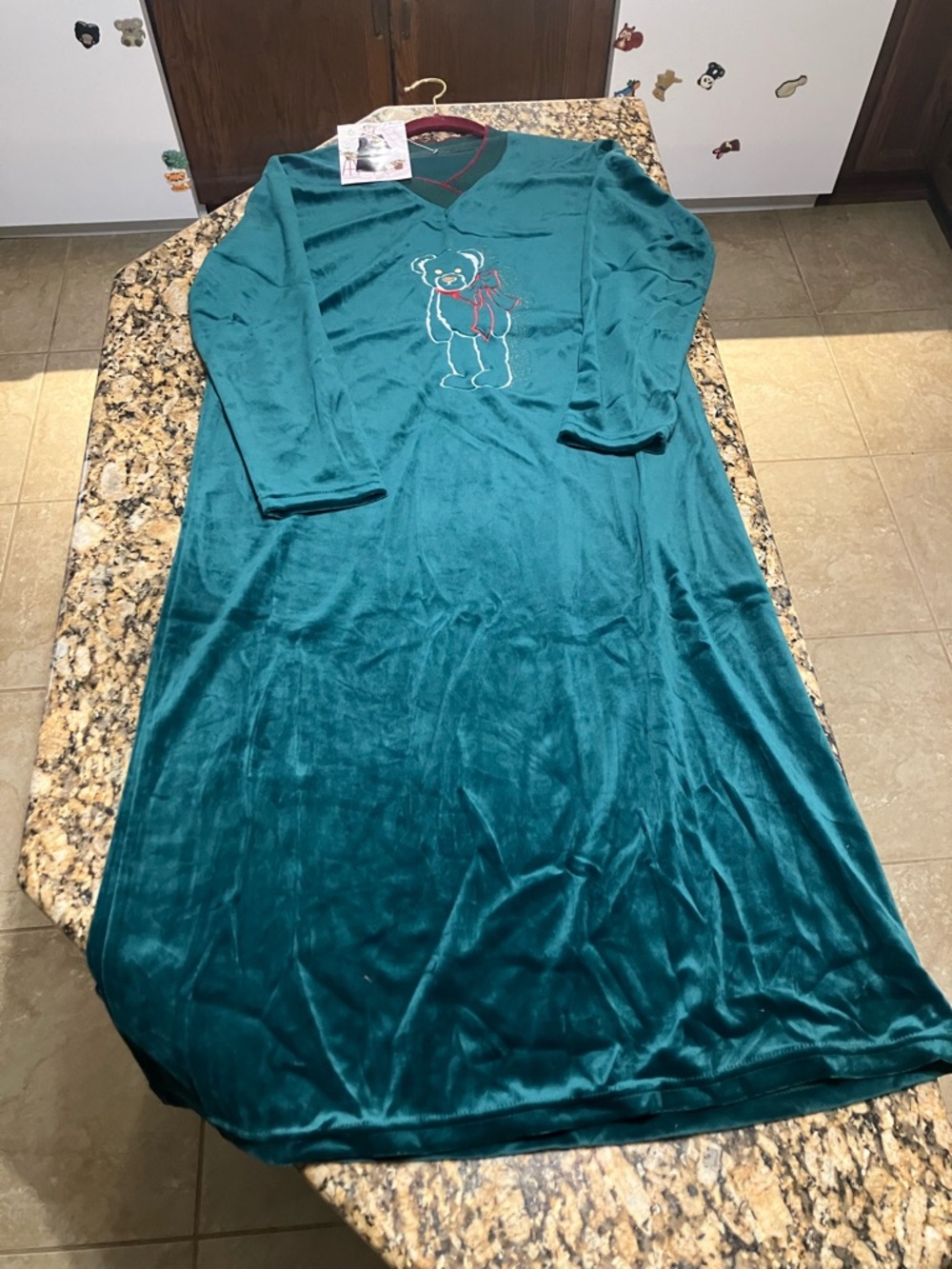 Cozy Teal Velvet Nightgown with Bear Embroidery